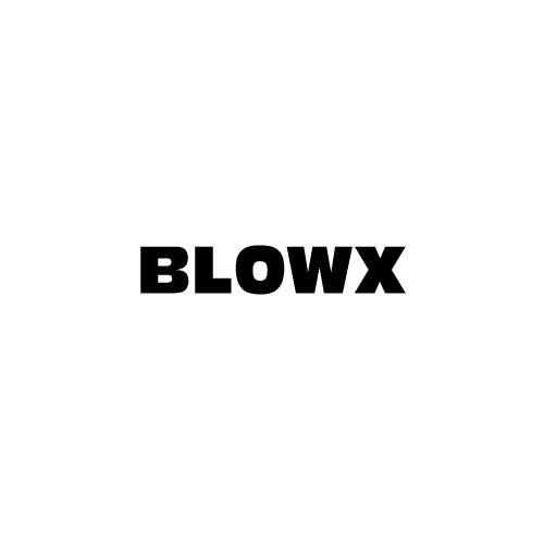 Dingbat Game #110 » BLOWX » LEVEL 14