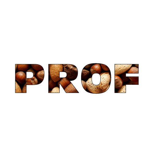 Dingbat Game #196 » PROF » LEVEL 4