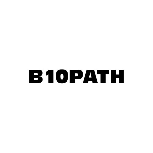 Dingbat Game #231 » B10PATH » LEVEL 15