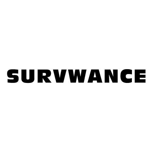 Dingbat Game #243 » SURVWANCE » LEVEL 25