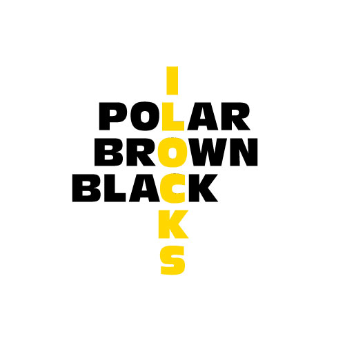 Dingbats Puzzle - Whatzit #367 - POLAR BROWN BLACK [ILOCKS]