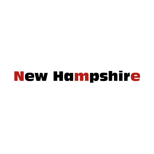 Dingbats Puzzle - Whatzit #424 - New Hampshire