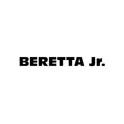 Dingbat Game #56 » BERETTA JR » LEVEL 17