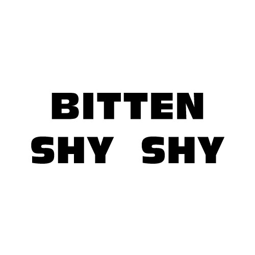 Dingbats Puzzle - Whatzit #568 - BITTEN SHY SHY