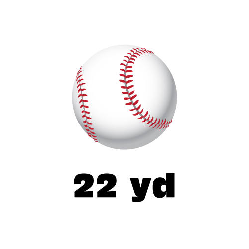 Dingbats Puzzle - Whatzit #94 - (ball) 22 yd