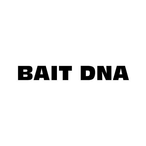 Dingbats Puzzle - Whatzit #305 - BAIT DNA