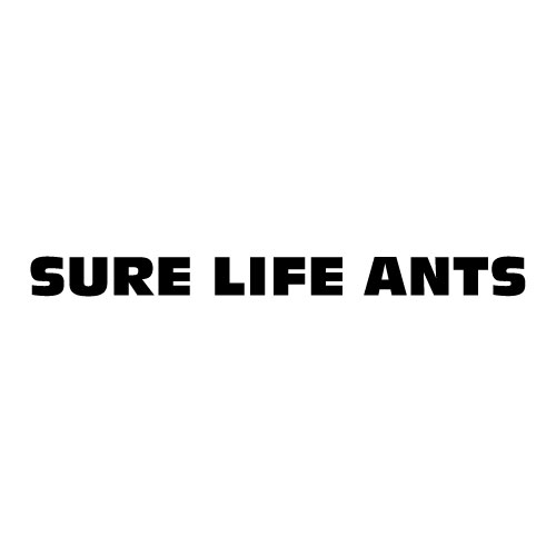 Dingbats Puzzle - Whatzit #467 - SURE LIFE ANTS
