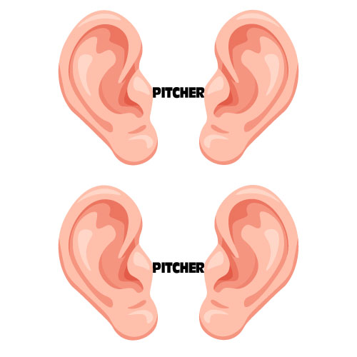 Dingbats Puzzle - Whatzit #546 - [Ear] Pitcher [Ear]