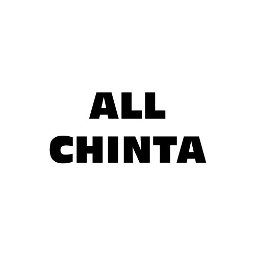 Dingbats Puzzle - Whatzit #584 - ALL CHINTA