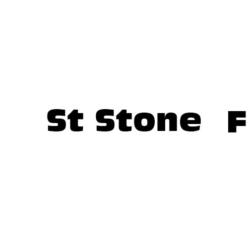 Dingbats Puzzle - Whatzit #694 - St Stone F