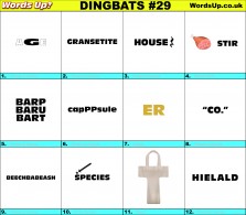 Dingbat Game #29