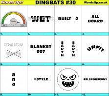 Dingbat Game #30